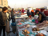 지난해 연근해어업 생산량 91만 4000톤    
