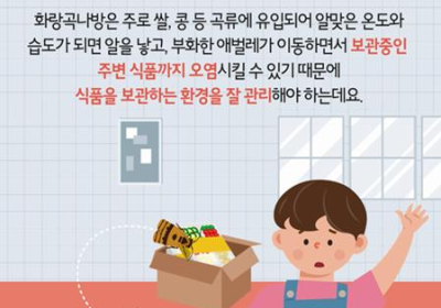 [생활정보] 식품안전정보원, 식품 보관 때 발생 이물질 벌레 주의보