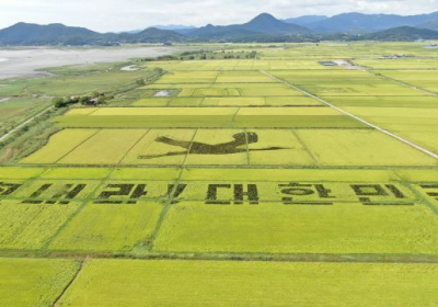 [뉴스 화제]  ‘힘내라 대한민국’…순천만에 그린 코로나 희망 메시지