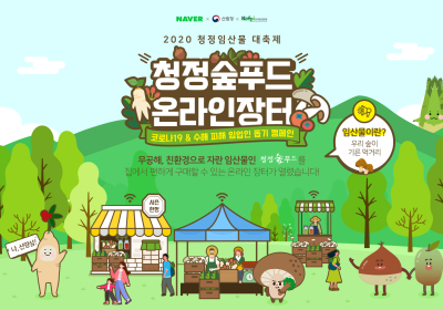 [생활정보] 가을대표 임산물 밤・곶감・자연산 송이버섯 싸게 맛본다