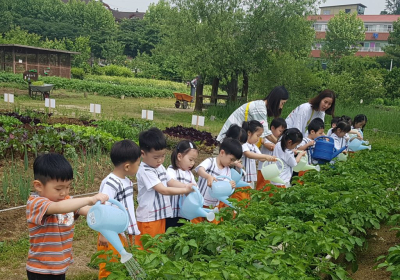 식물관찰하면 몸과 마음도 긍정적↑ 식물친숙도 22% 증가