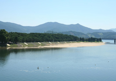 [포토뉴스] 강바람과 모래바람 막는 하동포구 백사청송