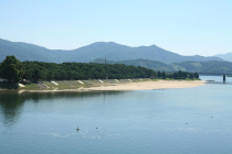 [포토뉴스] 강바람과 모래바람 막는 하동포구 백사청송