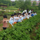 [생활정보] 코로나19시대, 우울・불안감은 환경 적응 위한 정상적 과정  