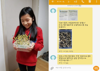 서귀포에서는 콩나물 키우며 우울함 날려 보내요