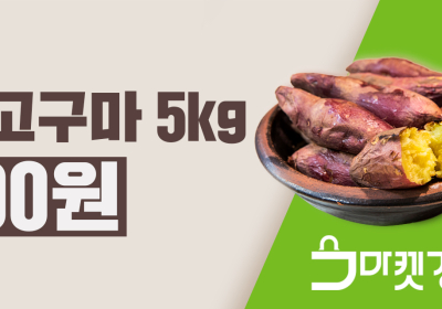 [생활정보] 경기도 공공배달앱 출시기념 우수농산물 100원에 구입 혜택