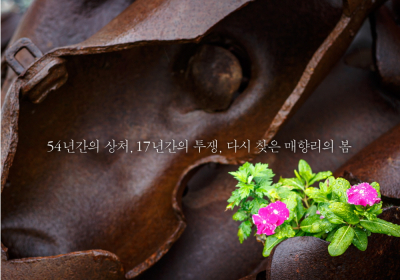 54년간 미공군 폭격장…‘매향리, 평화가 오다’