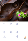 54년간 미공군 폭격장…‘매향리, 평화가 오다’