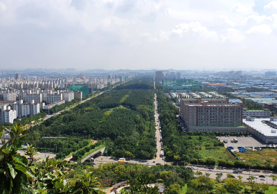 [생활정보] 도심의 나무숲이 도로변 미세먼지를 잡는다 