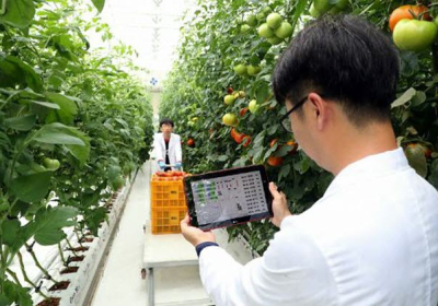 지능형농장, 케이팜(K-farm) 모델 만든다