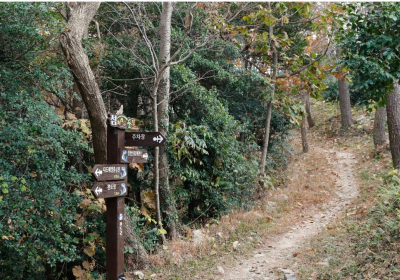 울진군, 동해안 최초 울진해양치유센터 건립