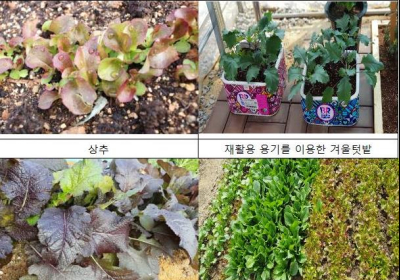 도심 텃밭에서 자연과 수확의 의미 일깨운다