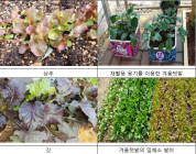 도심 텃밭에서 자연과 수확의 의미 일깨운다 