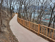 목포 삼학도 숲 속의 무장애 산책로 조성