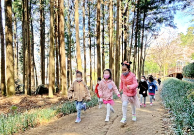 정남진 편백숲에서 어린이 감수성 키우기