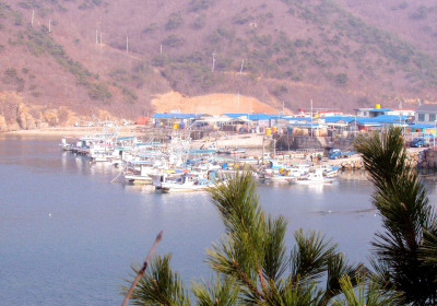 [뉴스 화제] 백령・연평・대청・덕적・자월도, 해수담수화