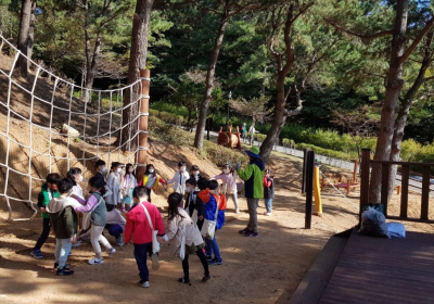 아이들아, 자연과 교감하며 숲에서 뛰어놀자