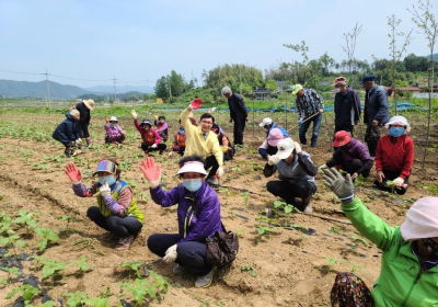 우리 마을 공동체 사업…보성만의 색다른 색깔 입히기