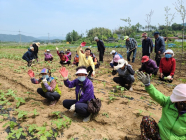 우리 마을 공동체 사업…보성만의 색다른 색깔 입히기