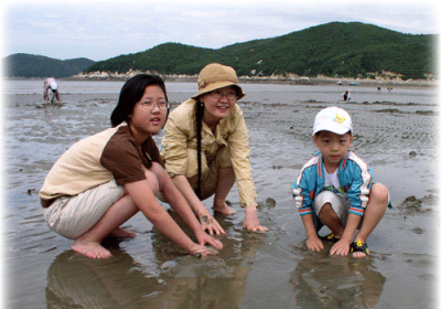 청소년 해양교육프로그램 충청바다학교 열린다