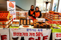 대봉감의 산실, 하동 악양대봉감마을 주목