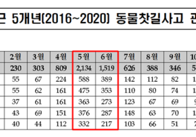 [자동차 정보] 한국도로공사, 동물찻길사고 주의
