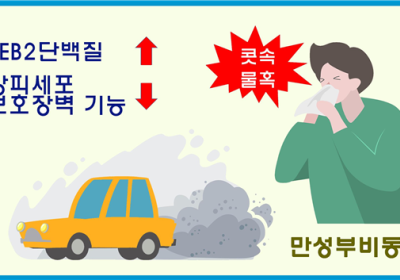 [건강정보] 경유차 디젤엔진분진, 축농증↑