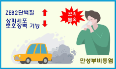 [건강정보] 경유차 디젤엔진분진, 축농증↑