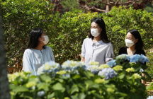 [포토뉴스] 산사로 가는 길의 수국