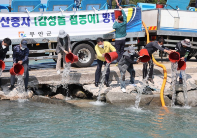 [뉴스 화제] 해양자원 복원 위한 방류행사 잇따라