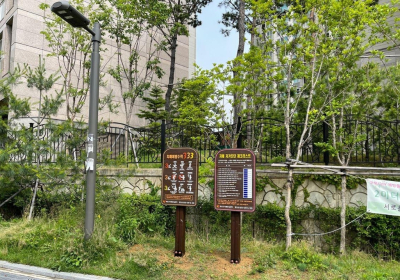 [건강정보] 치매문제 가족과 사회문제…심리치료 중요