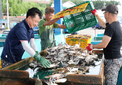 [뉴스 화제] 꽃게여 돌아오라…서해안 꽃게 살리기