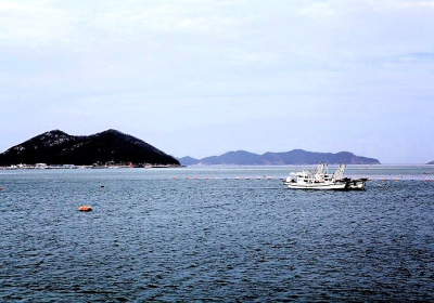 고군산군도 해역에 넙치・조피볼락 대대적 방류