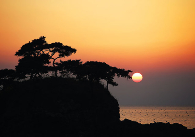 격포 화산활동으로 생긴 솔섬, 전북기념물 지정