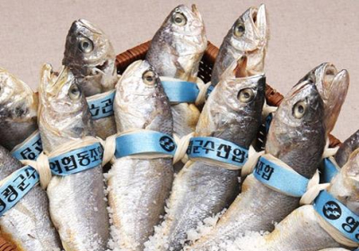 백신 맞고 할인가격 수산물로 몸보신하자