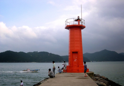 낚시 명소 마량항에 감성돔 20만 마리 방류