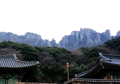 [해안선 기행] 땅끝마을 달마고도 감성걷기