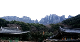 [해안선 기행] 땅끝마을 달마고도 감성걷기