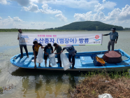 부안군 뱀장어 치어 6500여 마리 방류