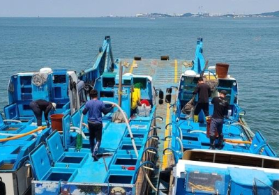 평택 바다 살리기…국민생선 넙치 방류