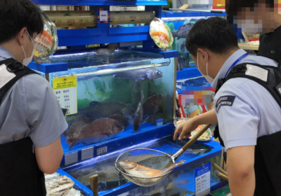 여름철 대표 보양식 수산물 특별 단속