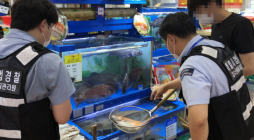 여름철 대표 보양식 수산물 특별 단속