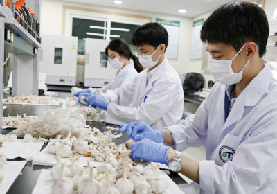 [생활정보] 정부 비축농산물 안전성 점검 