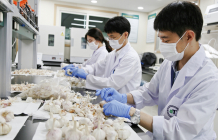 [생활정보] 정부 비축농산물 안전성 점검 