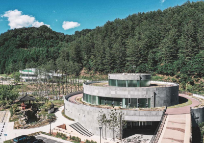 청정 자연에서 보내는 숲캉스