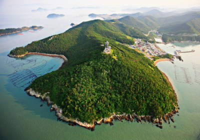 코로나로 지친 사람들의 쉼터, 숲 정원