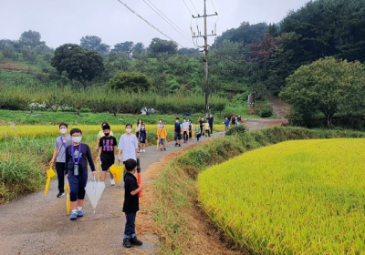 가을 예술 꽃길에 밤 주렁주렁, 여기저기 도토리
