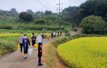 가을 예술 꽃길에 밤 주렁주렁, 여기저기 도토리