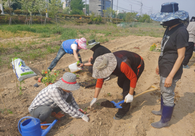 농촌에서 살아보기 … 귀농·귀촌 미리 알아보기