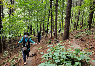 산림치유 프로그램…숲가꾸기 1일 체험행사